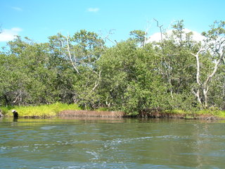 Filename=Cruise_Day_5_-Isla_Margarita-_081.jpg
Filesize=1253KiB
Dimensions=2048x1536
Date added=Sep 15, 2019 Cruise_Day_5_-Isla_Margarita-_081.jpg