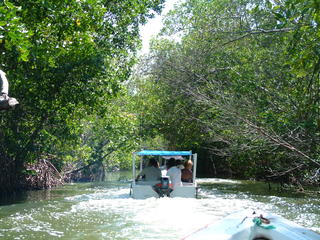 Filename=Cruise_Day_5_-Isla_Margarita-_083.jpg
Filesize=1255KiB
Dimensions=2048x1536
Date added=Sep 15, 2019 Cruise_Day_5_-Isla_Margarita-_083.jpg