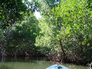 Filename=Cruise_Day_5_-Isla_Margarita-_085.jpg
Filesize=1227KiB
Dimensions=2048x1536
Date added=Sep 15, 2019 Cruise_Day_5_-Isla_Margarita-_085.jpg