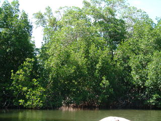 Filename=Cruise_Day_5_-Isla_Margarita-_086.jpg
Filesize=1250KiB
Dimensions=2048x1536
Date added=Sep 15, 2019 Cruise_Day_5_-Isla_Margarita-_086.jpg