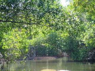 Filename=Cruise_Day_5_-Isla_Margarita-_087.jpg
Filesize=1241KiB
Dimensions=2048x1536
Date added=Sep 15, 2019 Cruise_Day_5_-Isla_Margarita-_087.jpg