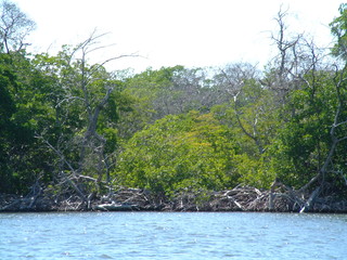 Filename=Cruise_Day_5_-Isla_Margarita-_088.jpg
Filesize=1408KiB
Dimensions=2048x1536
Date added=Sep 15, 2019 Cruise_Day_5_-Isla_Margarita-_088.jpg