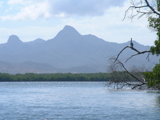 Filename=Cruise_Day_5_-Isla_Margarita-_089.jpg
Filesize=1282KiB
Dimensions=2048x1536
Date added=Sep 15, 2019 Cruise_Day_5_-Isla_Margarita-_089.jpg