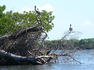 Filename=Cruise_Day_5_-Isla_Margarita-_091.jpg
Filesize=1384KiB
Dimensions=2048x1536
Date added=Sep 15, 2019 Cruise_Day_5_-Isla_Margarita-_091.jpg