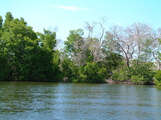 Filename=Cruise_Day_5_-Isla_Margarita-_097.jpg
Filesize=1270KiB
Dimensions=2048x1536
Date added=Sep 15, 2019 Cruise_Day_5_-Isla_Margarita-_097.jpg