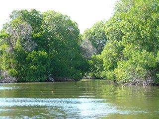 Filename=Cruise_Day_5_-Isla_Margarita-_099.jpg
Filesize=1297KiB
Dimensions=2048x1536
Date added=Sep 15, 2019 Cruise_Day_5_-Isla_Margarita-_099.jpg