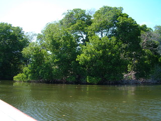 Filename=Cruise_Day_5_-Isla_Margarita-_100.jpg
Filesize=1329KiB
Dimensions=2048x1536
Date added=Sep 15, 2019 Cruise_Day_5_-Isla_Margarita-_100.jpg