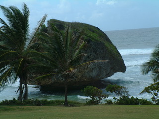 Filename=Cruise_Day_6_-Barbados-1_004.jpg
Filesize=1264KiB
Dimensions=2048x1536
Date added=Sep 15, 2019 Cruise_Day_6_-Barbados-1_004.jpg