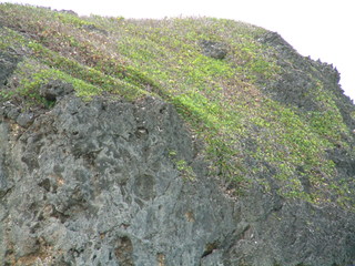 Filename=Cruise_Day_6_-Barbados-1_005.jpg
Filesize=1327KiB
Dimensions=2048x1536
Date added=Sep 15, 2019 Cruise_Day_6_-Barbados-1_005.jpg