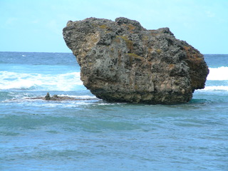Filename=Cruise_Day_6_-Barbados-1_008.jpg
Filesize=1299KiB
Dimensions=2048x1536
Date added=Sep 15, 2019 Cruise_Day_6_-Barbados-1_008.jpg