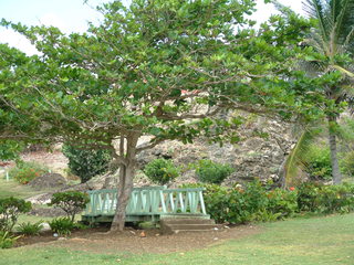 Filename=Cruise_Day_6_-Barbados-1_017.jpg
Filesize=1271KiB
Dimensions=2048x1536
Date added=Sep 15, 2019 Cruise_Day_6_-Barbados-1_017.jpg