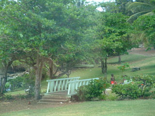 Filename=Cruise_Day_6_-Barbados-1_026.jpg
Filesize=1272KiB
Dimensions=2048x1536
Date added=Sep 15, 2019 Cruise_Day_6_-Barbados-1_026.jpg