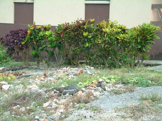 Filename=Cruise_Day_6_-Barbados-1_027.jpg
Filesize=1243KiB
Dimensions=2048x1536
Date added=Sep 15, 2019 Cruise_Day_6_-Barbados-1_027.jpg