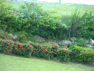 Filename=Cruise_Day_6_-Barbados-1_033.jpg
Filesize=1250KiB
Dimensions=2048x1536
Date added=Sep 15, 2019 Cruise_Day_6_-Barbados-1_033.jpg