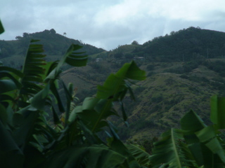Filename=Cruise_Day_6_-Barbados-1_036.jpg
Filesize=1226KiB
Dimensions=2048x1536
Date added=Sep 15, 2019 Cruise_Day_6_-Barbados-1_036.jpg
