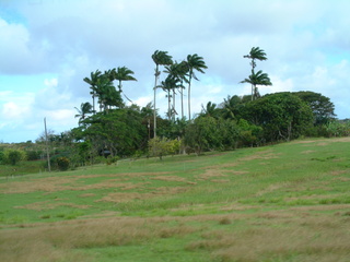 Filename=Cruise_Day_6_-Barbados-1_038.jpg
Filesize=1264KiB
Dimensions=2048x1536
Date added=Sep 15, 2019 Cruise_Day_6_-Barbados-1_038.jpg