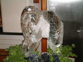 Filename=Cruise_Day_6_-Barbados-Deck_Party_001.jpg
Filesize=1136KiB
Dimensions=2048x1536
Date added=Sep 15, 2019 Cruise_Day_6_-Barbados-Deck_Party_001.jpg