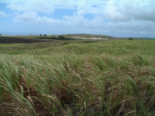 Filename=Cruise_Day_6_-Barbados-_005.jpg
Filesize=1273KiB
Dimensions=2048x1536
Date added=Sep 15, 2019 Cruise_Day_6_-Barbados-_005.jpg