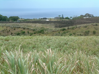 Filename=Cruise_Day_6_-Barbados-_007.jpg
Filesize=1252KiB
Dimensions=2048x1536
Date added=Sep 15, 2019 Cruise_Day_6_-Barbados-_007.jpg