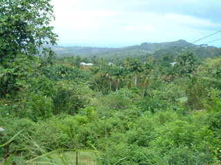 Filename=Cruise_Day_6_-Barbados-_014.jpg
Filesize=1331KiB
Dimensions=2048x1536
Date added=Sep 15, 2019 Cruise_Day_6_-Barbados-_014.jpg