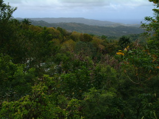 Filename=Cruise_Day_6_-Barbados-_015.jpg
Filesize=1240KiB
Dimensions=2048x1536
Date added=Sep 15, 2019 Cruise_Day_6_-Barbados-_015.jpg