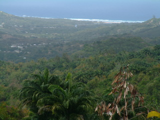 Filename=Cruise_Day_6_-Barbados-_016.jpg
Filesize=1239KiB
Dimensions=2048x1536
Date added=Sep 15, 2019 Cruise_Day_6_-Barbados-_016.jpg