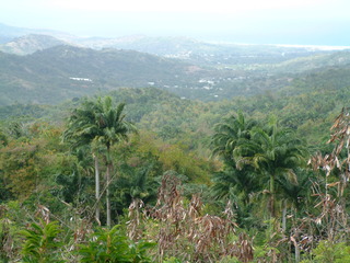 Filename=Cruise_Day_6_-Barbados-_017.jpg
Filesize=1331KiB
Dimensions=2048x1536
Date added=Sep 15, 2019 Cruise_Day_6_-Barbados-_017.jpg