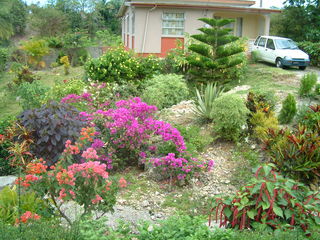 Filename=Cruise_Day_6_-Barbados-_020.jpg
Filesize=1252KiB
Dimensions=2048x1536
Date added=Sep 15, 2019 Cruise_Day_6_-Barbados-_020.jpg