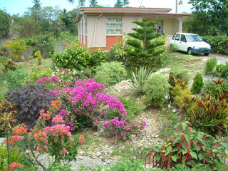 Filename=Cruise_Day_6_-Barbados-_025.jpg
Filesize=1255KiB
Dimensions=2048x1536
Date added=Sep 15, 2019 Cruise_Day_6_-Barbados-_025.jpg