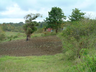 Filename=Cruise_Day_6_-Barbados-_028.jpg
Filesize=1275KiB
Dimensions=2048x1536
Date added=Sep 15, 2019 Cruise_Day_6_-Barbados-_028.jpg