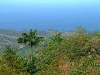 Filename=Cruise_Day_6_-Barbados-_034.jpg
Filesize=1279KiB
Dimensions=2048x1536
Date added=Sep 15, 2019 Cruise_Day_6_-Barbados-_034.jpg