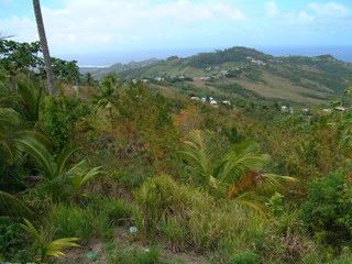 Filename=Cruise_Day_6_-Barbados-_036.jpg
Filesize=1264KiB
Dimensions=2048x1536
Date added=Sep 15, 2019 Cruise_Day_6_-Barbados-_036.jpg