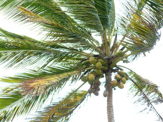 Filename=Cruise_Day_6_-Barbados-_039.jpg
Filesize=1378KiB
Dimensions=2048x1536
Date added=Sep 15, 2019 Cruise_Day_6_-Barbados-_039.jpg