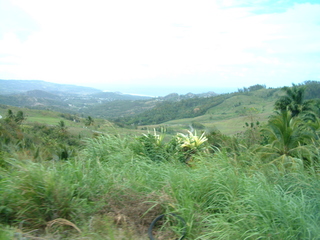 Filename=Cruise_Day_6_-Barbados-_044.jpg
Filesize=1404KiB
Dimensions=2048x1536
Date added=Sep 15, 2019 Cruise_Day_6_-Barbados-_044.jpg