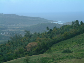 Filename=Cruise_Day_6_-Barbados-_048.jpg
Filesize=1238KiB
Dimensions=2048x1536
Date added=Sep 15, 2019 Cruise_Day_6_-Barbados-_048.jpg