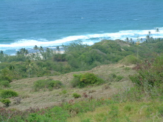 Filename=Cruise_Day_6_-Barbados-_052.jpg
Filesize=1266KiB
Dimensions=2048x1536
Date added=Sep 15, 2019 Cruise_Day_6_-Barbados-_052.jpg