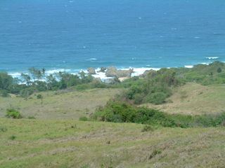 Filename=Cruise_Day_6_-Barbados-_054.jpg
Filesize=1272KiB
Dimensions=2048x1536
Date added=Sep 15, 2019 Cruise_Day_6_-Barbados-_054.jpg