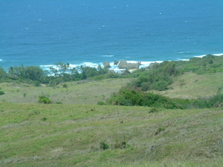 Filename=Cruise_Day_6_-Barbados-_057.jpg
Filesize=1268KiB
Dimensions=2048x1536
Date added=Sep 15, 2019 Cruise_Day_6_-Barbados-_057.jpg