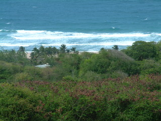 Filename=Cruise_Day_6_-Barbados-_059.jpg
Filesize=1234KiB
Dimensions=2048x1536
Date added=Sep 15, 2019 Cruise_Day_6_-Barbados-_059.jpg