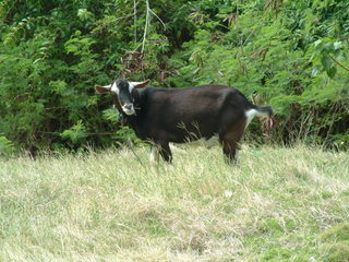 Filename=Cruise_Day_6_-Barbados-_068.jpg
Filesize=1227KiB
Dimensions=2048x1536
Date added=Sep 15, 2019 Cruise_Day_6_-Barbados-_068.jpg