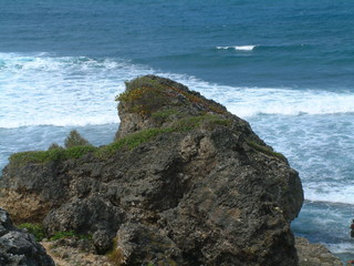 Filename=Cruise_Day_6_-Barbados-_072.jpg
Filesize=1226KiB
Dimensions=2048x1536
Date added=Sep 15, 2019 Cruise_Day_6_-Barbados-_072.jpg