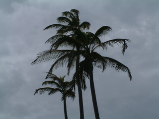 Filename=Cruise_Day_6_-Barbados-_085.jpg
Filesize=1221KiB
Dimensions=2048x1536
Date added=Sep 15, 2019 Cruise_Day_6_-Barbados-_085.jpg