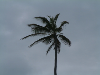 Filename=Cruise_Day_6_-Barbados-_099.jpg
Filesize=1188KiB
Dimensions=2048x1536
Date added=Sep 15, 2019 Cruise_Day_6_-Barbados-_099.jpg