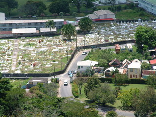 Filename=Cruise_Day_7_-Dominica-_008.jpg
Filesize=1234KiB
Dimensions=2048x1536
Date added=Sep 15, 2019 Cruise_Day_7_-Dominica-_008.jpg