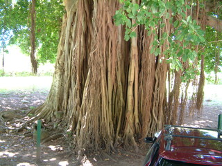 Filename=Cruise_Day_7_-Dominica-_016.jpg
Filesize=1295KiB
Dimensions=2048x1536
Date added=Sep 15, 2019 Cruise_Day_7_-Dominica-_016.jpg