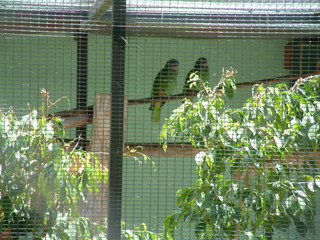 Filename=Cruise_Day_7_-Dominica-_021.jpg
Filesize=1269KiB
Dimensions=2048x1536
Date added=Sep 15, 2019 Cruise_Day_7_-Dominica-_021.jpg