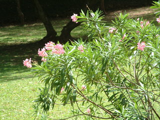 Filename=Cruise_Day_7_-Dominica-_030.jpg
Filesize=1261KiB
Dimensions=2048x1536
Date added=Sep 15, 2019 Cruise_Day_7_-Dominica-_030.jpg