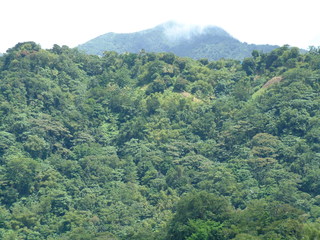 Filename=Cruise_Day_7_-Dominica-_034.jpg
Filesize=1352KiB
Dimensions=2048x1536
Date added=Sep 15, 2019 Cruise_Day_7_-Dominica-_034.jpg