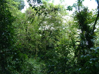 Filename=Cruise_Day_7_-Dominica-_043.jpg
Filesize=1172KiB
Dimensions=2048x1536
Date added=Sep 15, 2019 Cruise_Day_7_-Dominica-_043.jpg