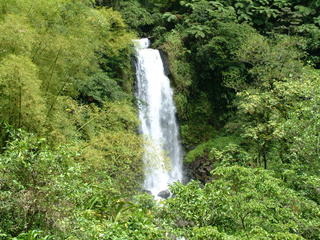 Filename=Cruise_Day_7_-Dominica-_048.jpg
Filesize=1236KiB
Dimensions=2048x1536
Date added=Sep 15, 2019 Cruise_Day_7_-Dominica-_048.jpg